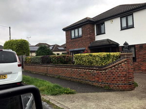Trimming jobs conifers (green trees) Hockley Trimming jobs conifers (green trees) Hockley